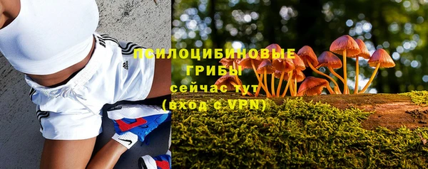 бутират Покачи