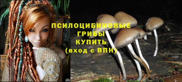 ПСИЛОЦИБИНОВЫЕ ГРИБЫ Покровск