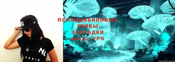 ПСИЛОЦИБИНОВЫЕ ГРИБЫ Покровск