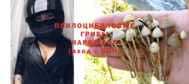 мориарти клад  Усть-Лабинск  Галлюциногенные грибы Psilocybe  где можно купить наркотик 