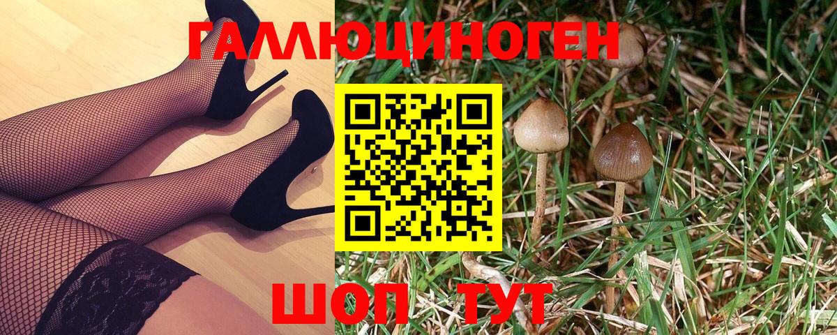 Псилоцибиновые грибы ЛСД Усть-Лабинск
