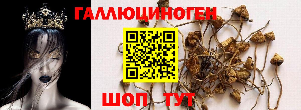 Псилоцибиновые грибы MAGIC MUSHROOMS  Вход с VPN  Усть-Лабинск 